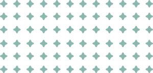 Inicio Pattern 300x144 2